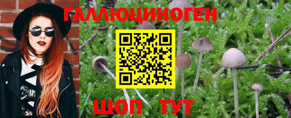 Дедовск  Галлюциногенные грибы Magic Shrooms  Вход с VPN 