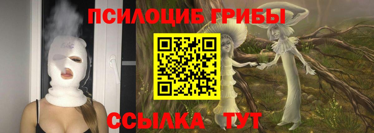 Галлюциногенные грибы Cubensis Дедовск